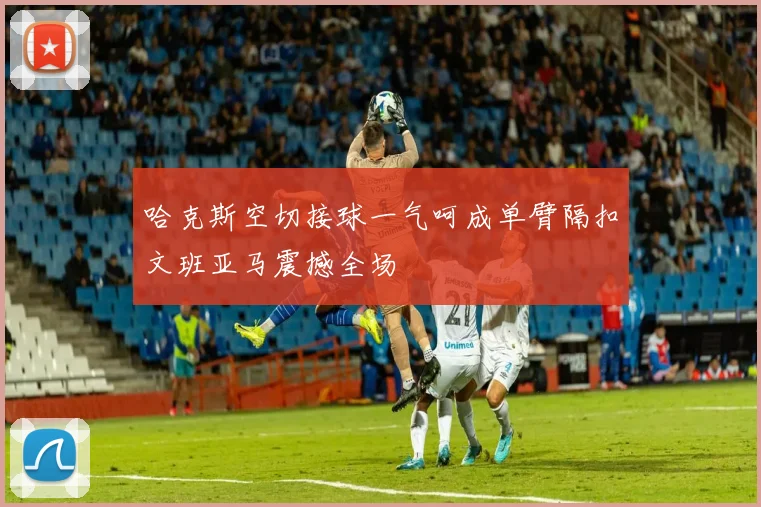 哈克斯空切接球一气呵成单臂隔扣文班亚马震撼全场