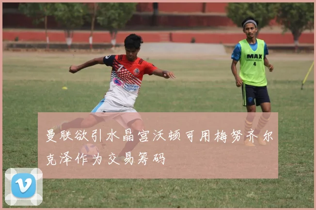 曼联欲引水晶宫沃顿可用梅努齐尔克泽作为交易筹码